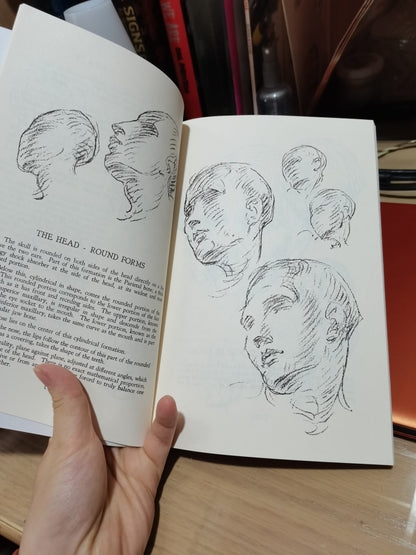 Heads, Features and Faces