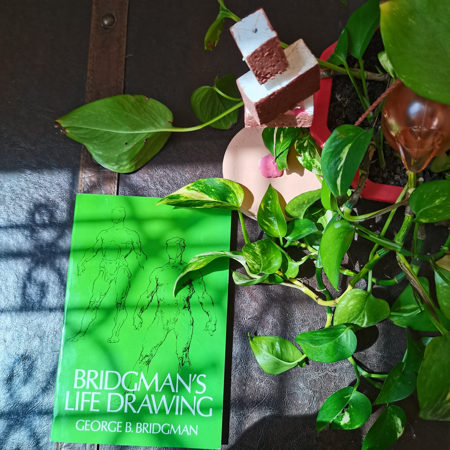 Bridgman’s Life Drawing