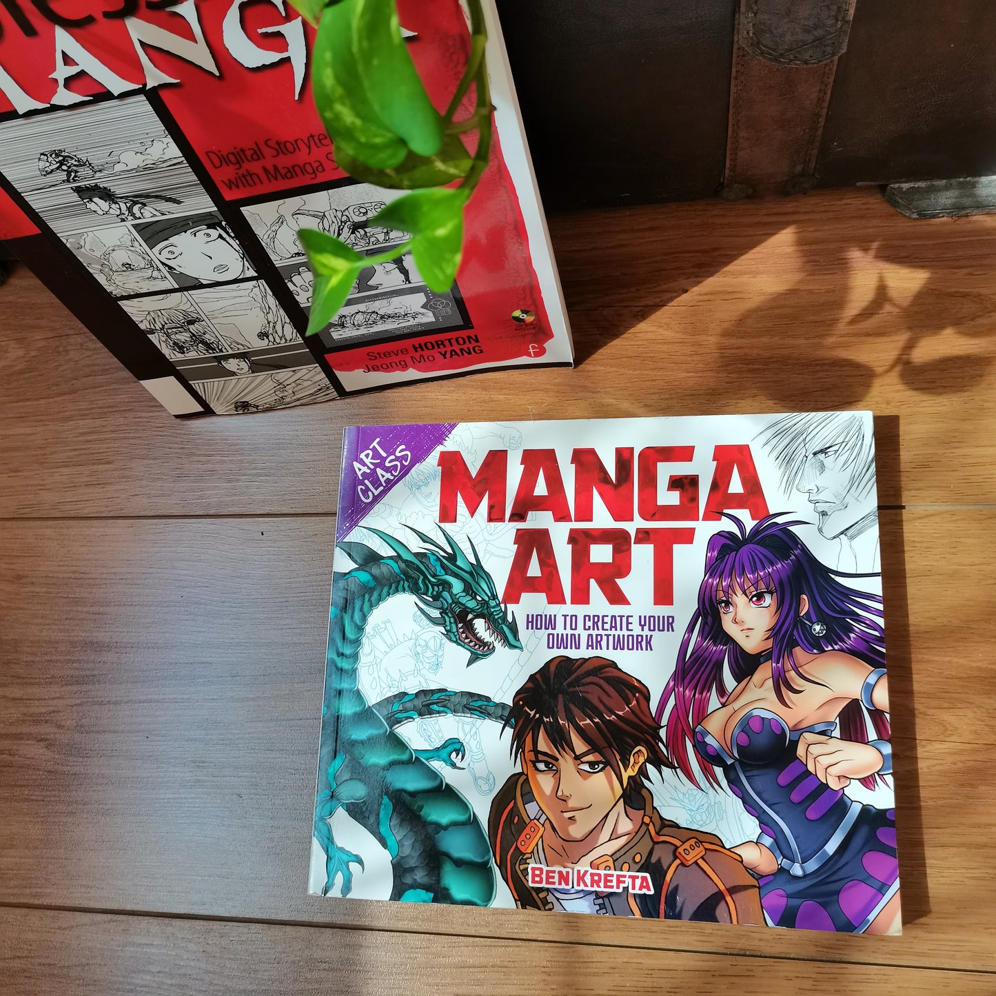 Manga Art